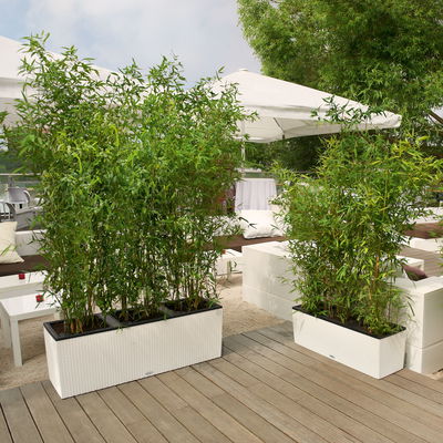 Lechuza 'Trio Cottage 40', weiß, ca. 130 x 42 x H 44 cm