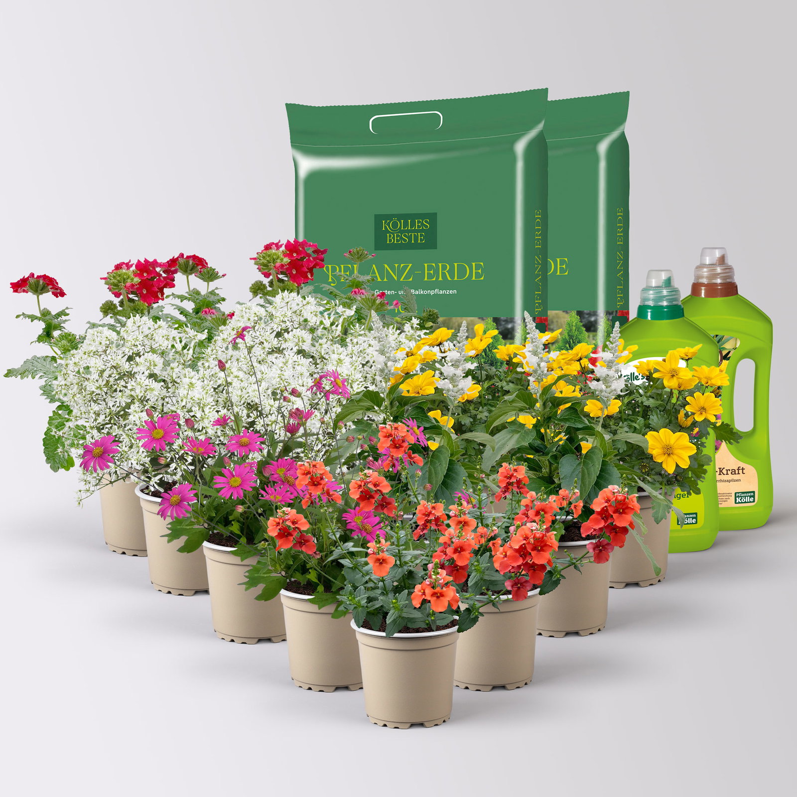 Pflanzenkreation 'Insektenbuffet', bunt , 12 Pflanzen inkl. Erde und Dünger