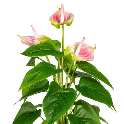 Kunstpflanze Anthurie, rosa, Höhe ca. 40 cm