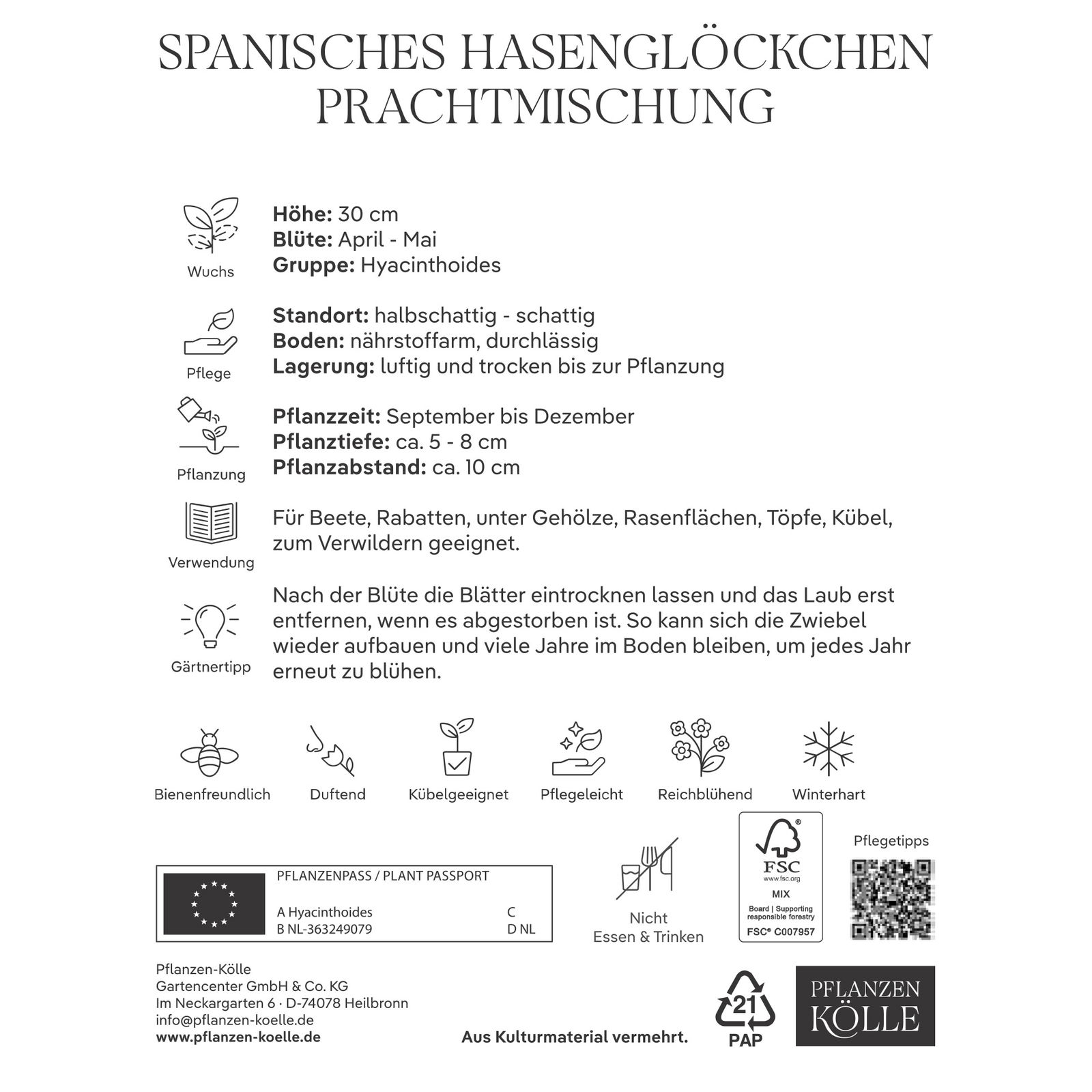 Waldhyazinthen (Hyacinthoides Hispanica) Prachtmischung, 20 Blumenzwiebeln