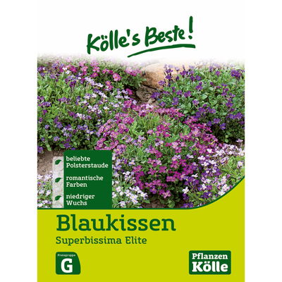 Kölles Beste Blumensamen Blaukissen 