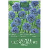 Kölles Beste Zierlauch, Allium Caeruleum, blau, 10 Blumenzwiebeln