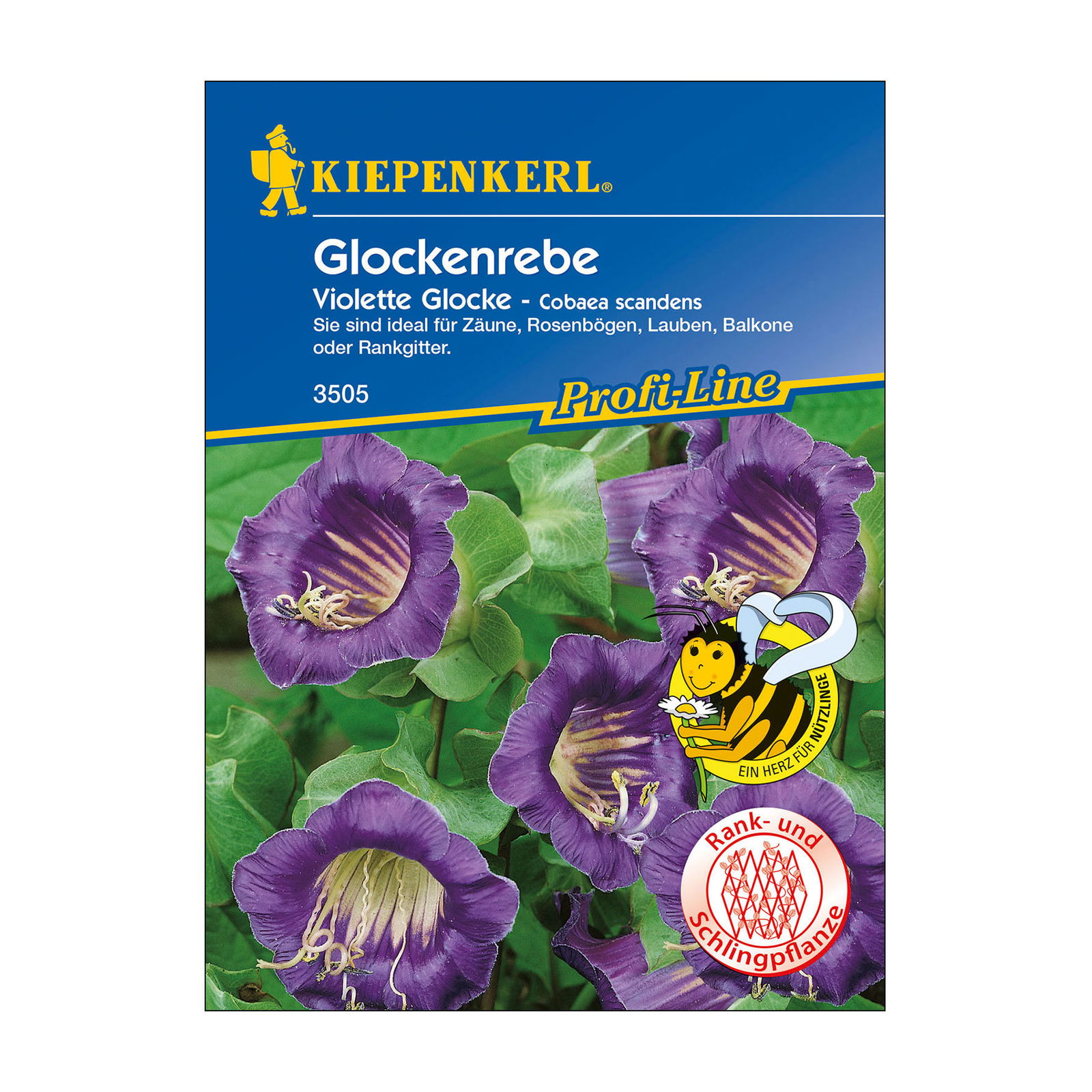 Blumensamen, Glockenrebe, lila