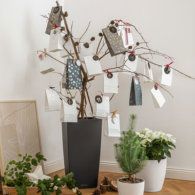 Lechuza 'Cubico Color 40', schiefergrau, ca. 39,5 x 39,5 x H 75,5 cm Lechuza 'Cubico Color 40', schiefergrau, ca. 39,5 x 39,5 x H 75,5 cm