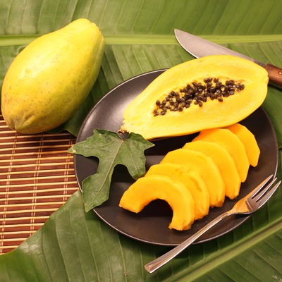 Blu Bio Papayapflanze, Topf-Ø 12 cm, 2er Set Blu Bio Papayapflanze, Topf-Ø 12 cm, 2er Set