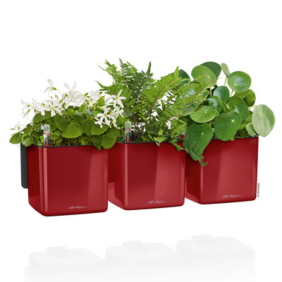 Lechuza 'Green Wall Home Kit Glossy', scarlet-rot highgloss Lechuza 'Green Wall Home Kit Glossy', scarlet-rot highgloss