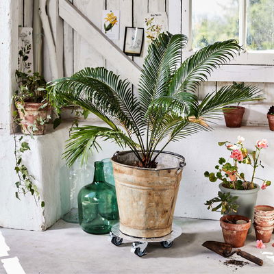 Multi Roller Alaska, Tragkraft 100 kg, Alu, ca. 7 x 30 x 30 cm Multi Roller Alaska, Tragkraft 100 kg, Alu, ca. 7 x 30 x 30 cm