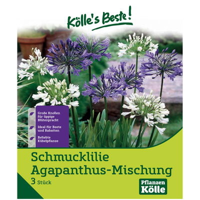 Agapanthus Mischung, blau & weiß, 2 Blumenzwiebeln Agapanthus Mischung, blau & weiß, 2 Blumenzwiebeln