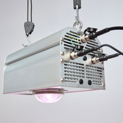 LED-Pflanzenlampe 'Canna Bulb', 150 W