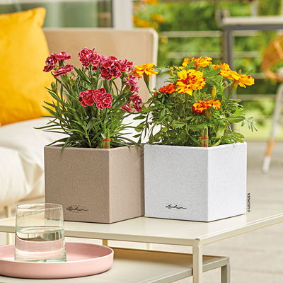 Lechuza 'Canto Stone 14', sandbeige, ca. 14 x 14 x H 13,5 cm