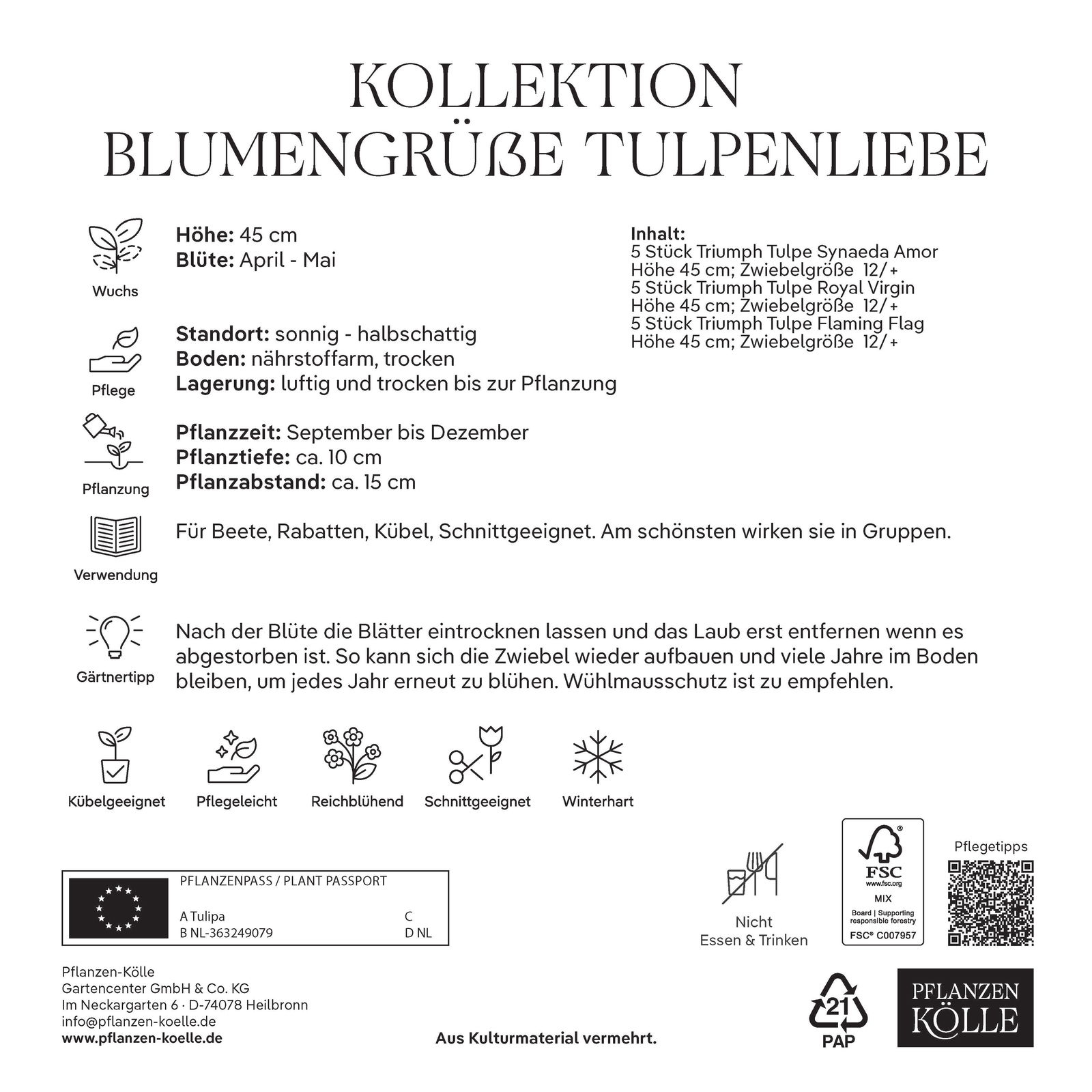 Kollektion Blumengrüße Tulpen Mischung, 15 Blumenzwiebeln