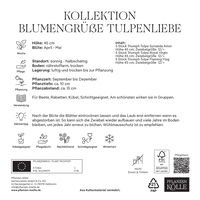 Kollektion Blumengrüße Tulpen Mischung, 15 Blumenzwiebeln