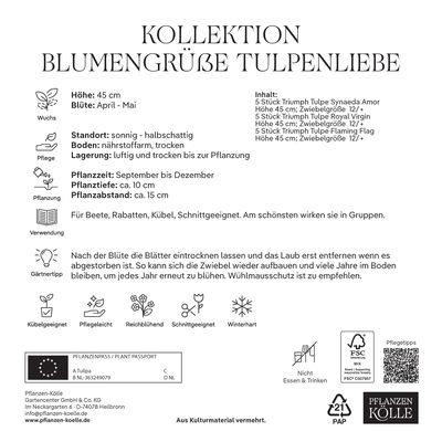 Kollektion Blumengrüße Tulpen Mischung, 15 Blumenzwiebeln