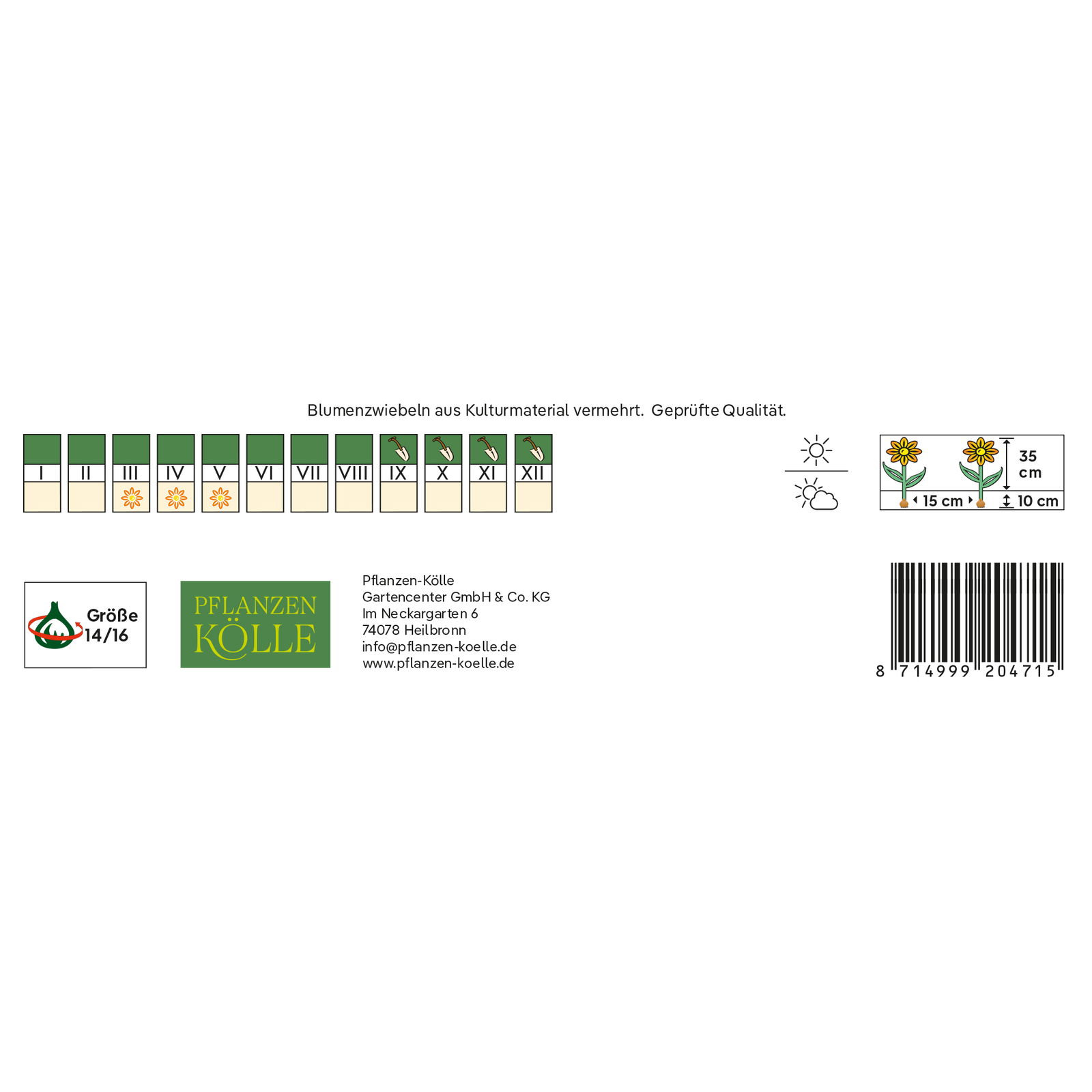Großpackung Großkronige Narzissen Carlton gelb, 2 kg