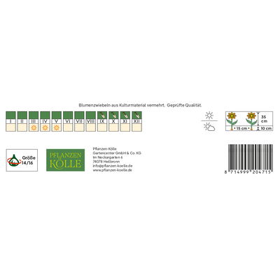 Großpackung Großkronige Narzissen Carlton gelb, 2 kg Großpackung Großkronige Narzissen Carlton gelb, 2 kg