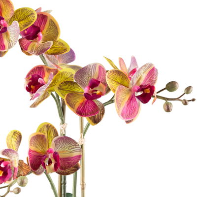 Kunstpflanze Phalaenopsis, gelb/pink/grau, Höhe ca. 48 cm