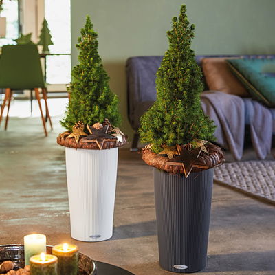 Lechuza 'Cilindro Color 32', schiefergrau, ca. Ø 32 x H 56 cm