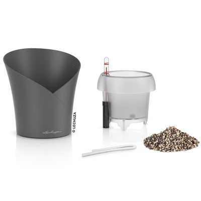 Lechuza 'Orchidea', schiefergrau, ca. Ø 18 x H 20 cm