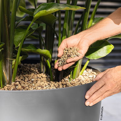 Lechuza Pon XXL, 25 Liter