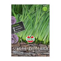 Sperli's Schnitt-Knoblauch Fat Leaf, Allium-Hybride