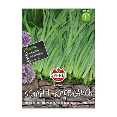 Sperli's Schnitt-Knoblauch Fat Leaf, Allium-Hybride Sperli's Schnitt-Knoblauch Fat Leaf, Allium-Hybride