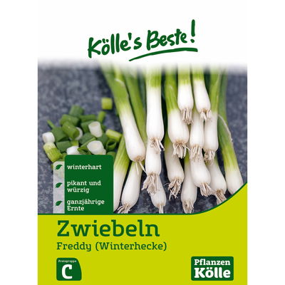 Kölles Beste Gemüsesamen Winterheckenzwiebel Kölles Beste Gemüsesamen Winterheckenzwiebel