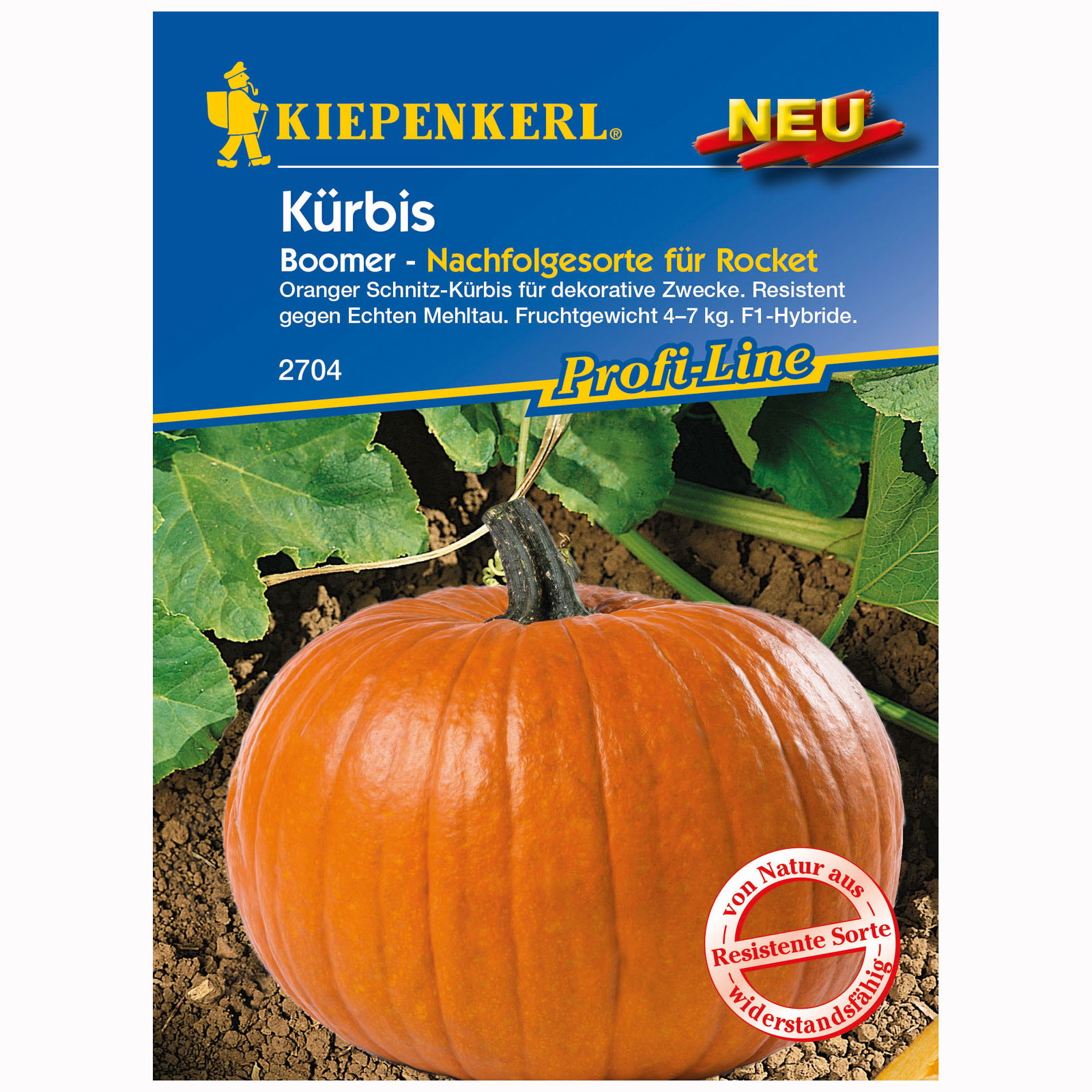 Kürbis 'Boomer', orange, ca. 7 Gemüsesamen