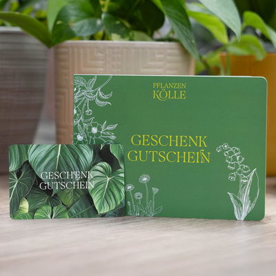 Gutschein-Karte 'Blatt' Gutschein-Karte 'Blatt'