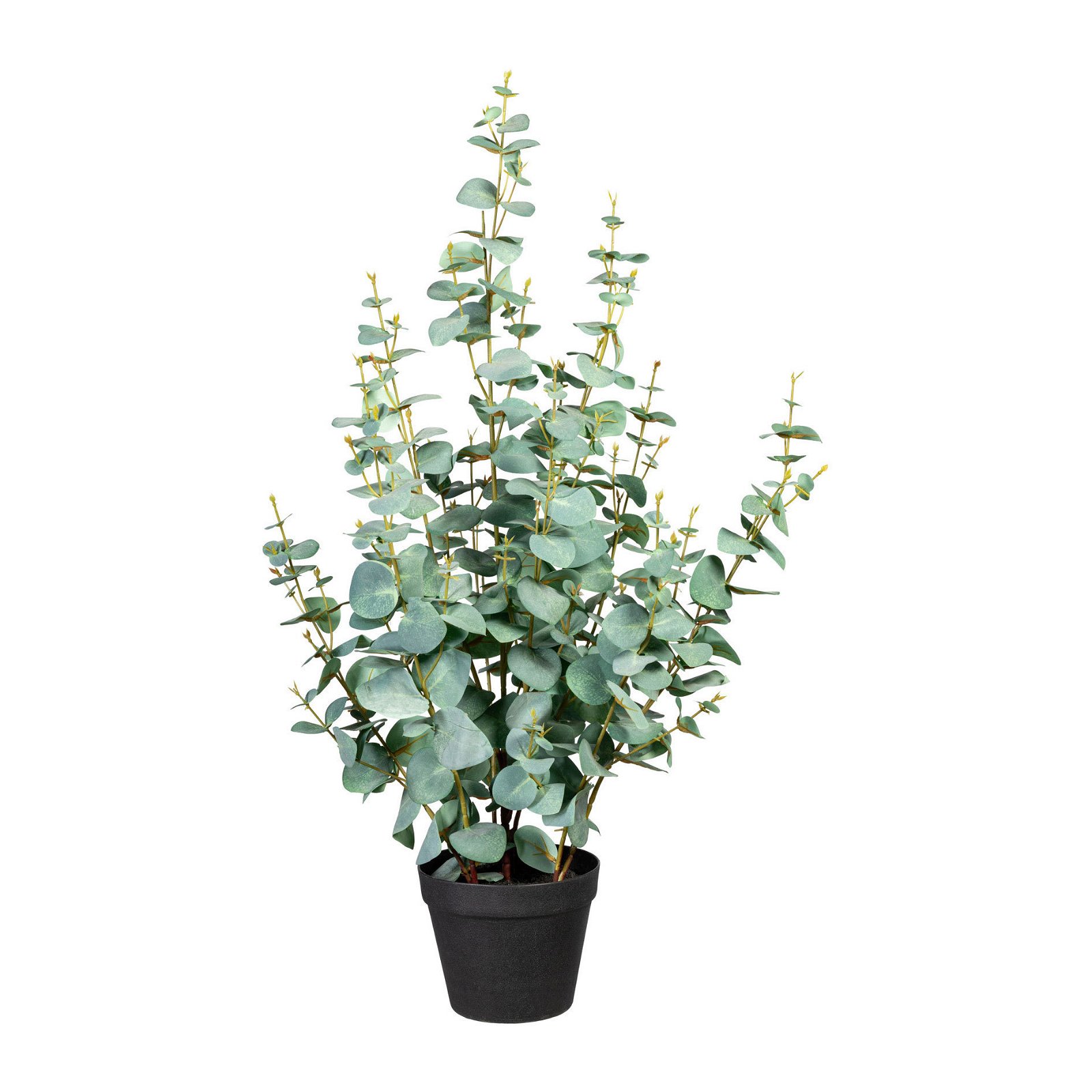 Kunstpflanze Eukalyptus cinerea, Höhe ca. 80 cm