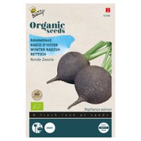 Gemüsesamen, Rettich 'Runder schwarzer Winter', schwarz, 1 g