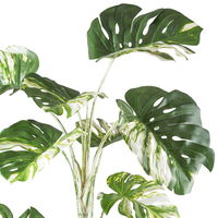 Kunstpflanze Monstera deliciosa variegata im Topf, Höhe ca. 160 cm