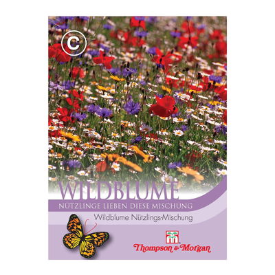 Wildblume Nützlings-Mischung / ganzjährig blühend, ideal für Rabatten Wildblume Nützlings-Mischung / ganzjährig blühend, ideal für Rabatten