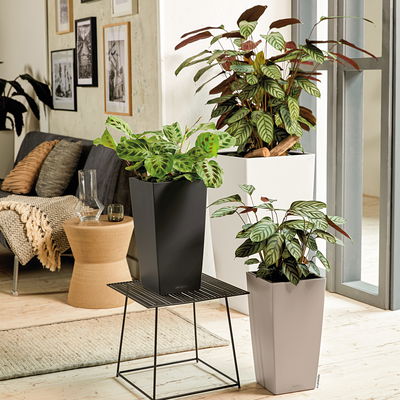 Lechuza 'Cubico Color 30', schiefergrau, ca. 29,5 x 29,5 x H 56,5 cm Lechuza 'Cubico Color 30', schiefergrau, ca. 29,5 x 29,5 x H 56,5 cm