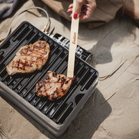 Enders Pace Camping Gasgrill & Kocher