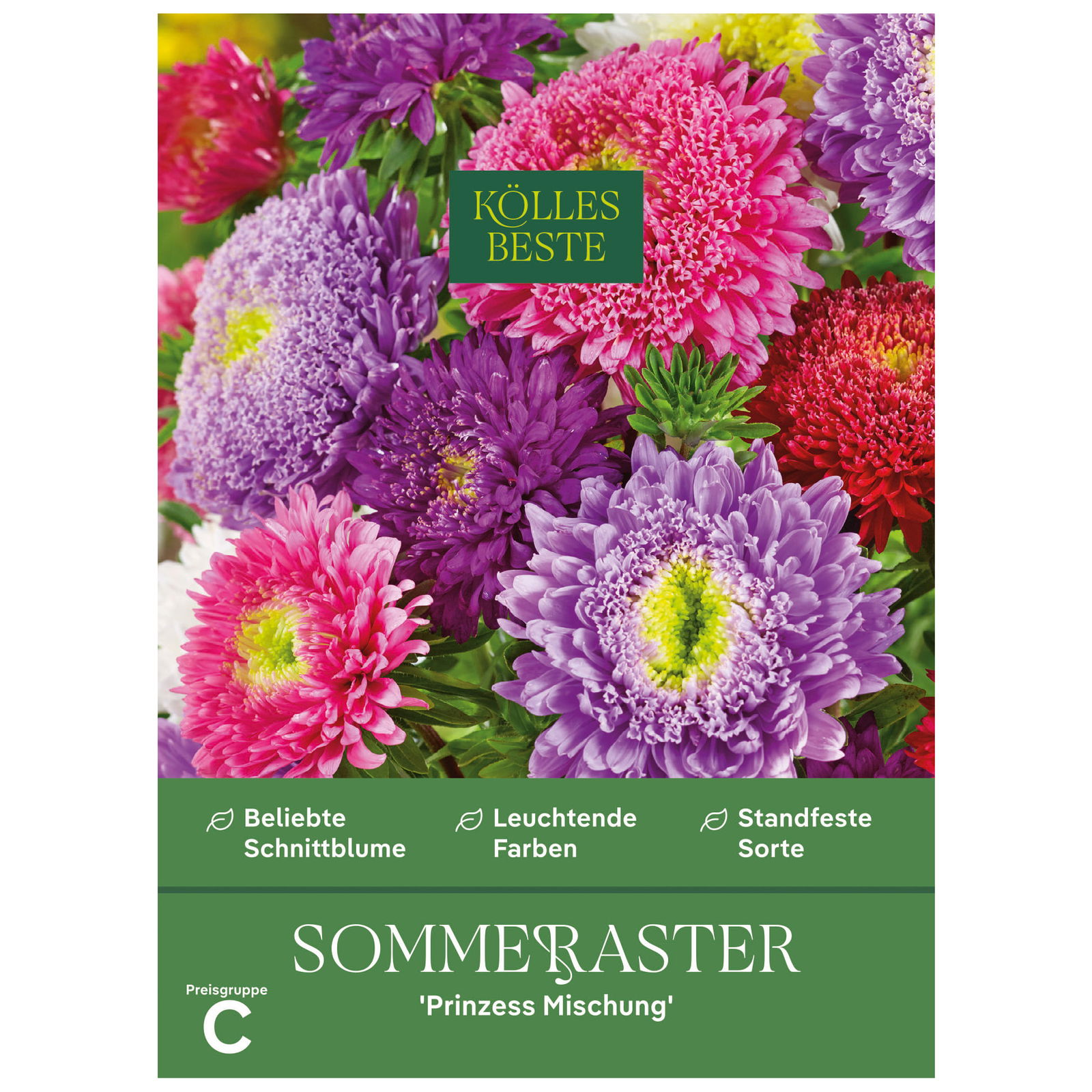 Kölles Beste Blumensamen, Sommeraster 'Prinzess Mischung'