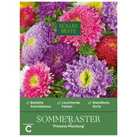 Kölles Beste Blumensamen, Sommeraster 'Prinzess Mischung'