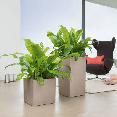 Lechuza 'Canto Stone 40 low', sandbeige, ca. 40 x 40 x H 40 cm