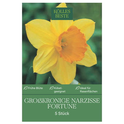 XXL Großkronige Narzisse Fortune gelb-orange, 5 Blumenzwiebeln XXL Großkronige Narzisse Fortune gelb-orange, 5 Blumenzwiebeln