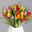 Blumenbund mit 20 bunt gemischten Tulpen und Heidelbeere, inkl. gratis Grußkarte Blumenbund mit 20 bunt gemischten Tulpen und Heidelbeere, inkl. gratis Grußkarte