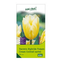 Darwin Hybride Tulpen Cream Cocktail zartgelb, 7 Blumenzwiebeln