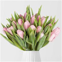 Blumenbund mit Tulpen, 30er-Bund, hellrosa, inkl. gratis Grußkarte