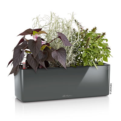Lechuza 'Cube Glossy Triple', anthrazit highloss, ca. 14 x 40 x H 13,5 cm Lechuza 'Cube Glossy Triple', anthrazit highloss, ca. 14 x 40 x H 13,5 cm