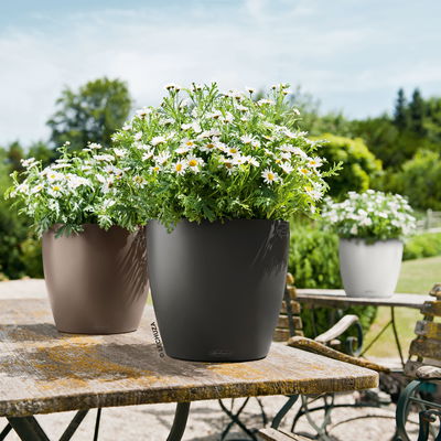 Lechuza 'Classico Color 28', schiefergrau, ca. Ø 27,5 x H 26 cm Lechuza 'Classico Color 28', schiefergrau, ca. Ø 27,5 x H 26 cm