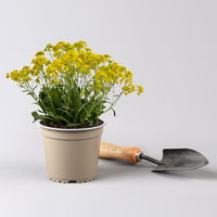 Pflanzenkreation Frühlingsmagie, 5 Pflanzen inkl. Erde und Dünger Pflanzenkreation Frühlingsmagie, 5 Pflanzen inkl. Erde und Dünger