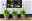 Schmucklilien umgetopft in Kübeln vor der Hauswand