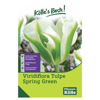 Kölles Beste Viridiflora Tulpen Spring Green weiß/grün gestreift, 7 Stück
