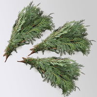 Scheinzypresse 'Glauca' im Handbund, blaugrün, 3 Bund Scheinzypresse 'Glauca' im Handbund, blaugrün, 3 Bund