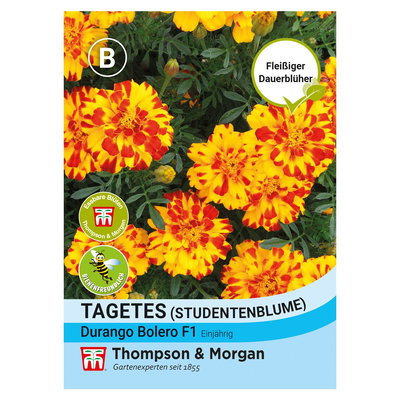 Thompson & Morgan Blumensamen Studentenblume Durango Bolero