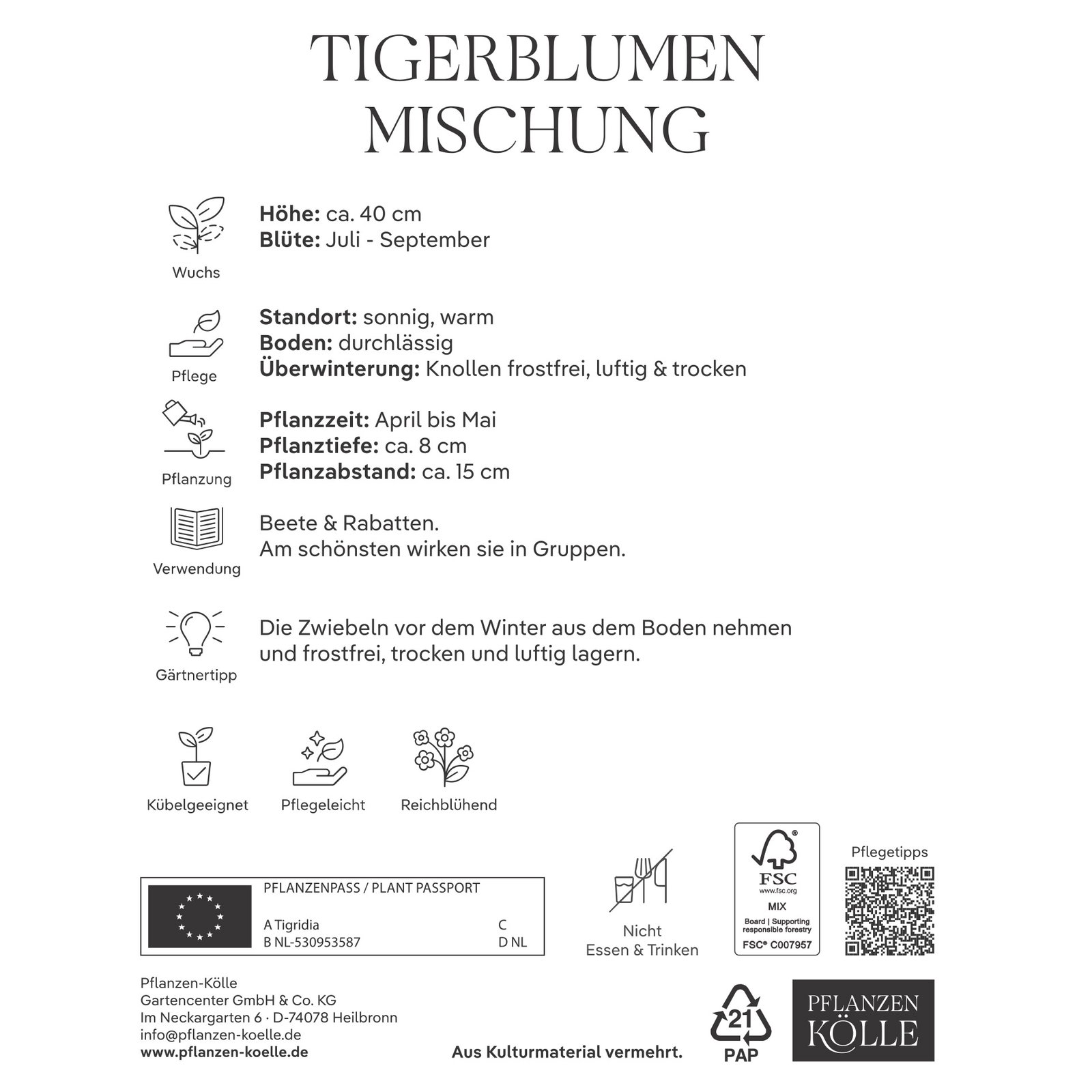 Kölles Beste Tigerblumen Mischung, groß, 15 Blumenknollen