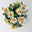 Chrysanthemen 'Chrysanne®Anemona White Purple', Topf-Ø 13 cm, 4 Pflanzen Chrysanthemen 'Chrysanne®Anemona White Purple', Topf-Ø 13 cm, 4 Pflanzen